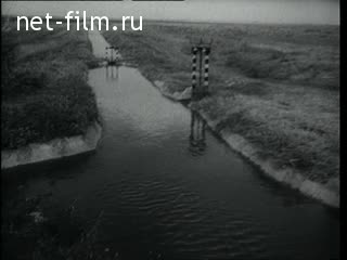 Newsreel Daily News / A Chronicle of the day №40-1963 (1963)