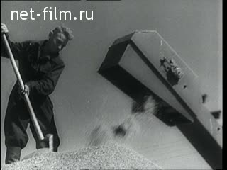 Newsreel Daily News / A Chronicle of the day №39-1963 (1963)