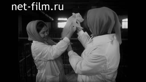 Киножурнал На Волге широкой №7 (1972)