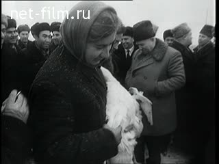 Newsreel Daily News / A Chronicle of the day №47-1961 (1961)