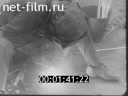 Footage frame