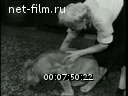 Кадр видео