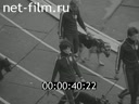 Кадр видео