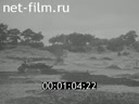 Footage frame