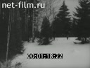 Кадр видео