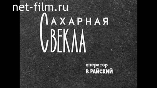 Киножурнал На Волге широкой №28 (1970)