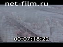 Footage frame