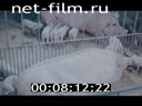 Footage frame