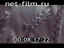 Footage frame