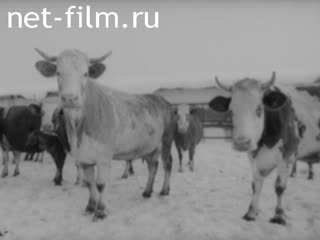Киножурнал На Волге широкой №12 (1985)