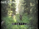 Footage frame