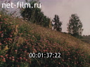 Footage frame