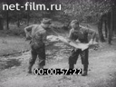 Кадр видео