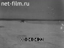 Footage frame