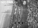 Footage frame