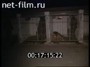 Footage frame
