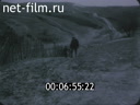 Footage frame