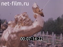 Кадр видео