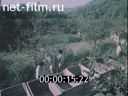 Кадр видео