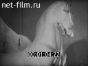 Footage frame