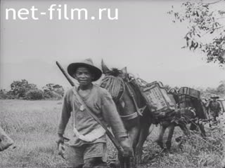 Newsreel War Pictorial News №175 (1944)