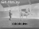 Кадр видео