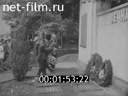 Кадр видео