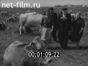 Кадр видео