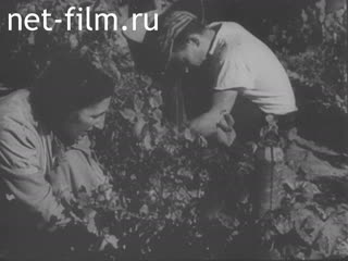 Кинохроника Неизвестная французская хроника №27874. (1940)