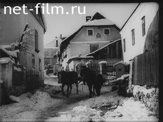 Footage The ceremonial annexation of the Bohemian Forest to the region of Bavarian Austria. (1939)