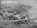 Footage frame
