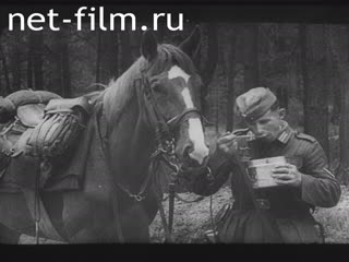 Кинохроника Народ, это тебя касается!. (1943)