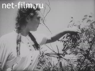 Фильм Молодая Европа №6. (1943)