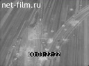 Footage frame