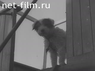 Footage Film library material. (1940-1949)