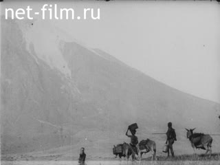 Кинохроника Охота в германской Восточной Африке. (1910-1919)