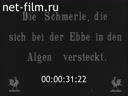 Footage frame