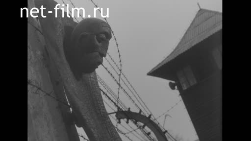 Новости Зарубежные киносюжеты №2395 (1970)