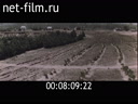 Footage frame
