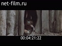 Footage frame