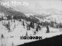 Кадр видео