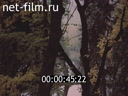 Footage frame