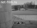 Кадр видео