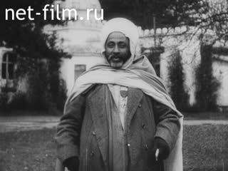 Кинохроника Помощь колоний Франции. (1910-1919)