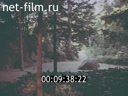 Footage frame