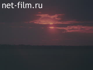 Movie The Field near the Village of Prokhorovka. (1983)