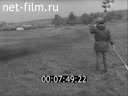 Кадр видео