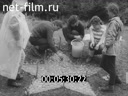 Кадр видео