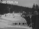 Кадр видео