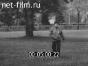 Кадр видео